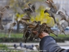animals-photography-fotosova-11-of-25