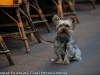 animals-photography-fotosova-13-of-25