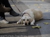 animals-photography-fotosova-14-of-25