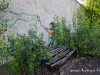 chernobyl_dsc6752