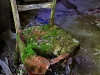 chernobylimg_3139