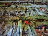 chernobylimg_3154